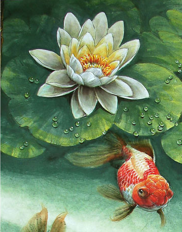 Koi